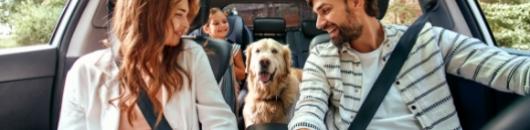 Famiglia felice in auto con un cane, sorridono mentre viaggiano insieme.