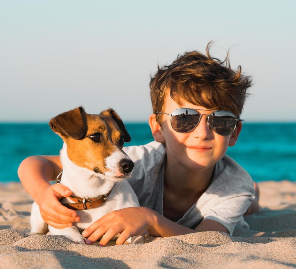 Ragazzo con occhiali da sole abbraccia un cane sulla spiaggia al tramonto.